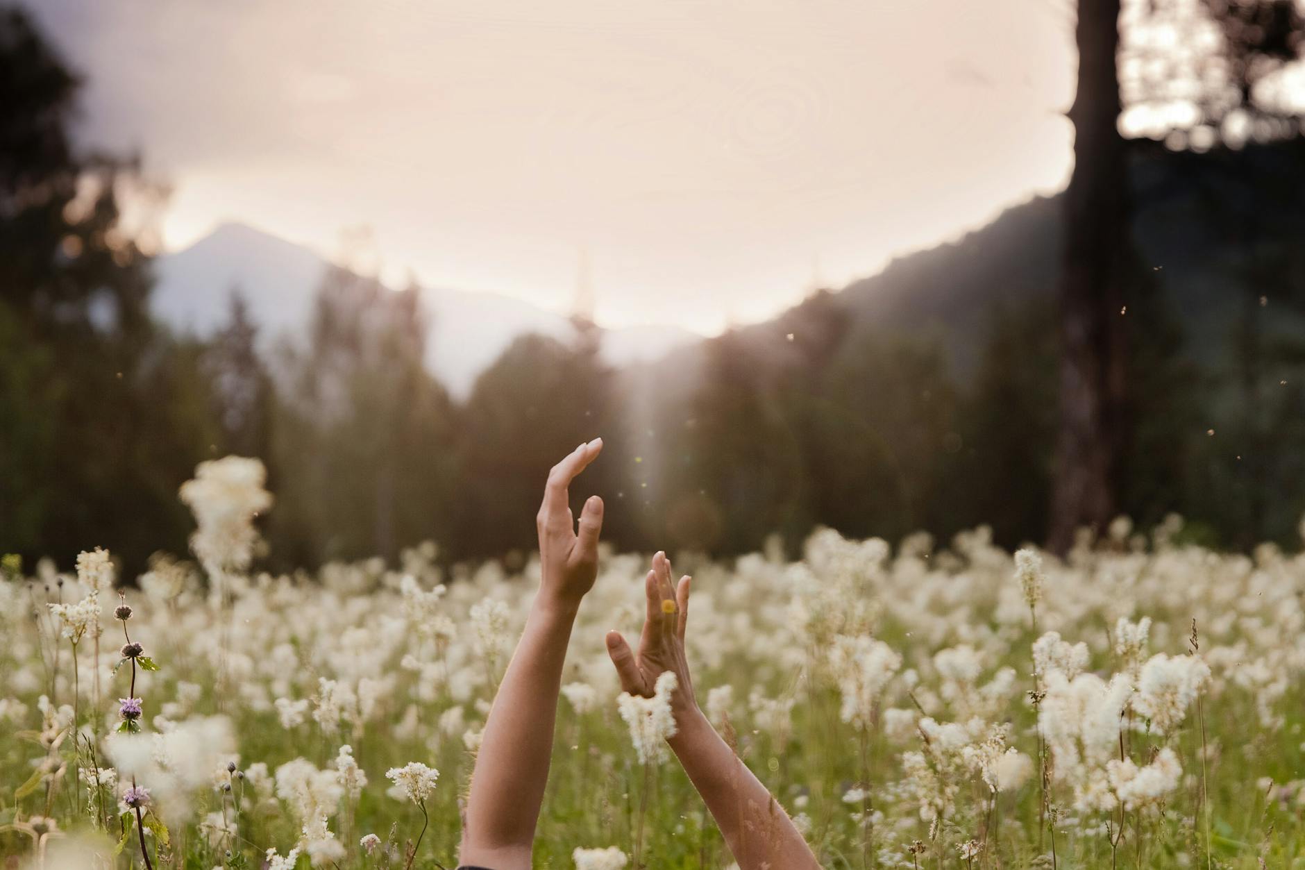 Astrology for the Week of April 27 – May 3